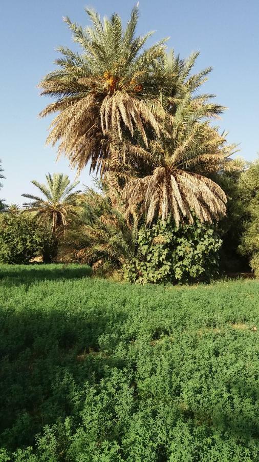 Ecologie Oasis Tafilalt Chez L' Habitant Hotel Errachidia Bagian luar foto